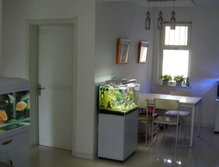 进门有鱼缸的风水好不好,装修进门见鱼缸好不好