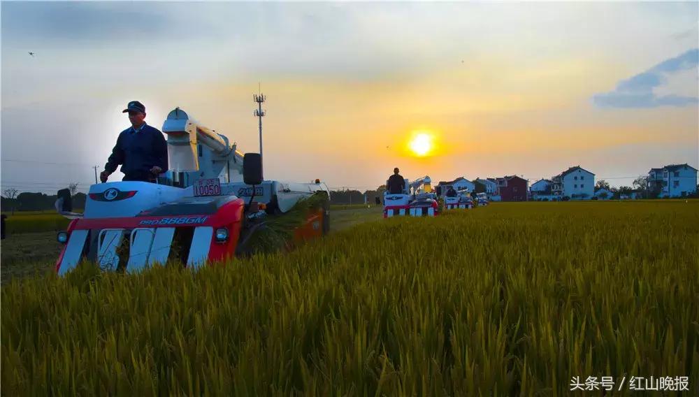 苏州吴中城南新主城,苏州市区最有江南韵味居住区