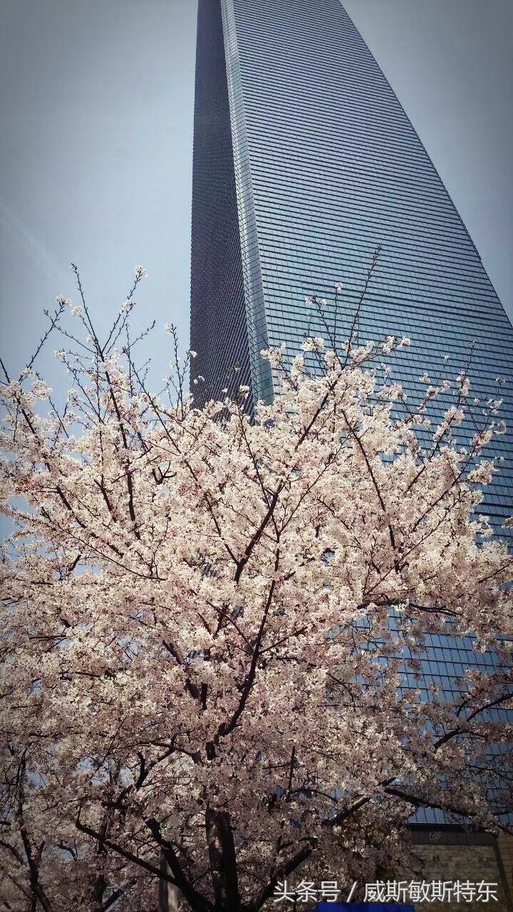 上海陆家嘴从事金融有多少人,陆家嘴有哪些金融机构