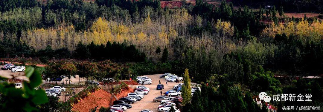 金堂秋色,秋天金堂十大必去景点