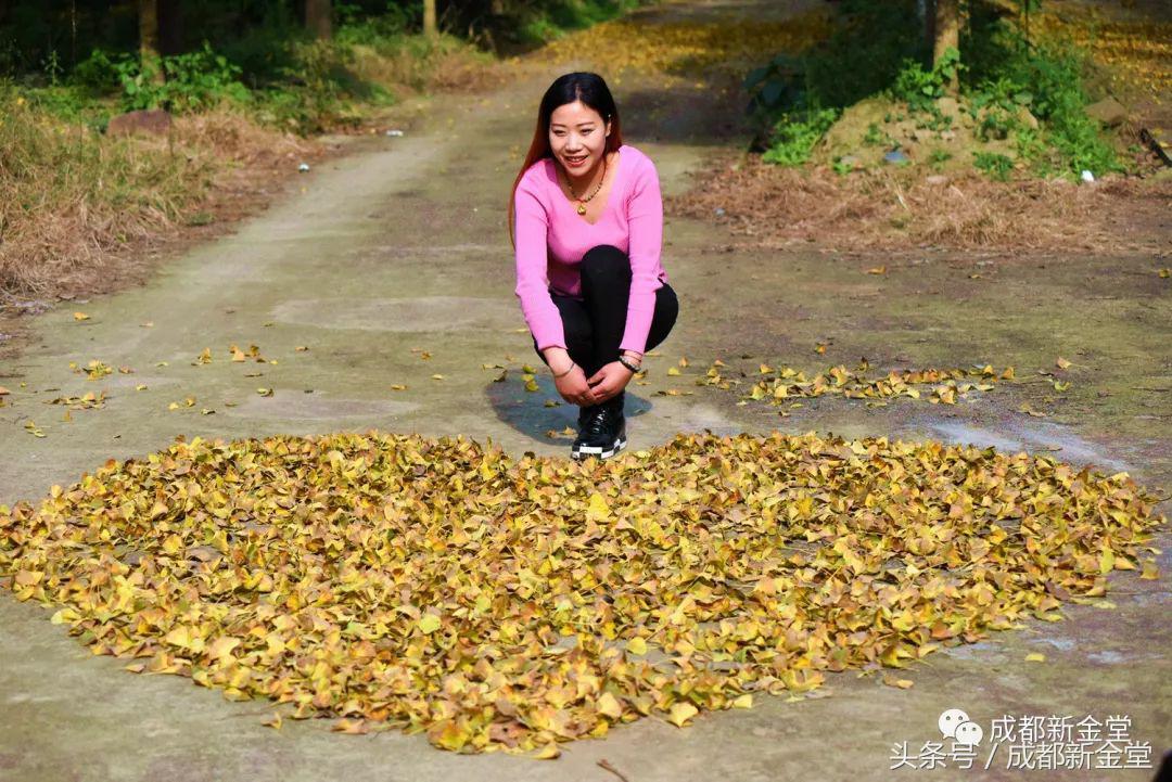 金堂秋色,秋天金堂十大必去景点