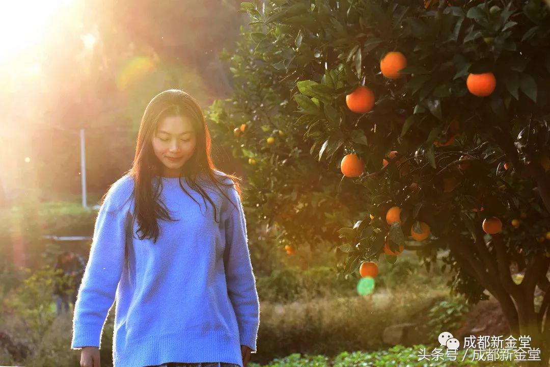 金堂秋色,秋天金堂十大必去景点