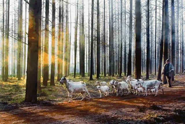 2019年上海二手房房价会跌吗,上海浦东新区二手房90平米多少钱