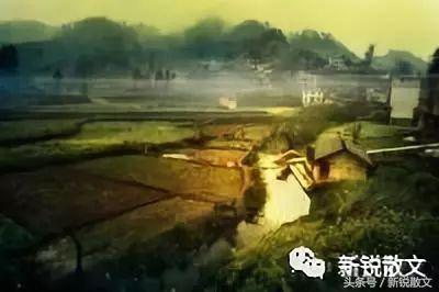 很多人梦寐以求的田园生活,向往惬意的田园生活是为什么