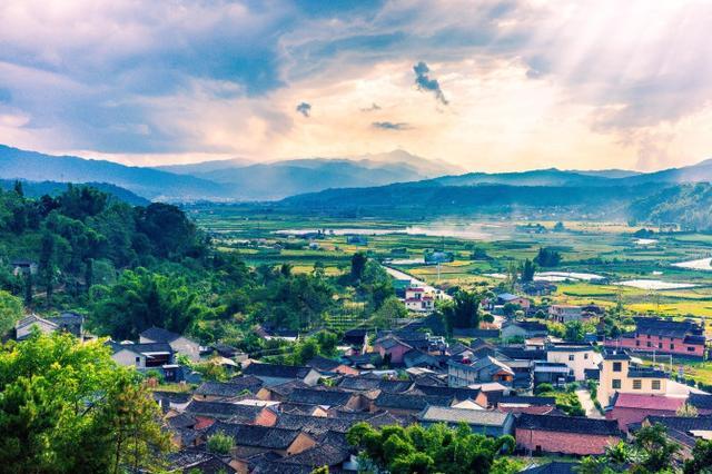 鑽疯姳鍙ら晣鑵惧啿,鑵惧啿鑽疯姳鍙ら晣