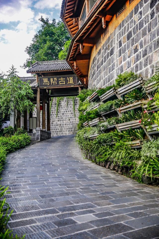 鑽疯姳鍙ら晣鑵惧啿,鑵惧啿鑽疯姳鍙ら晣