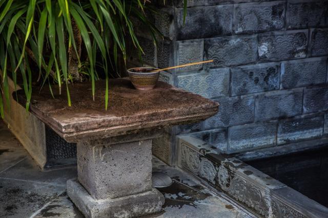 鑽疯姳鍙ら晣鑵惧啿,鑵惧啿鑽疯姳鍙ら晣