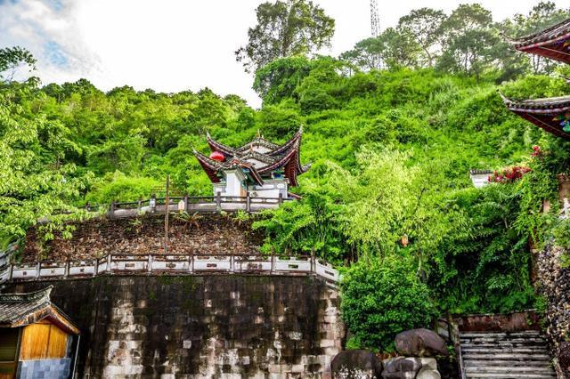 鑽疯姳鍙ら晣鑵惧啿,鑵惧啿鑽疯姳鍙ら晣