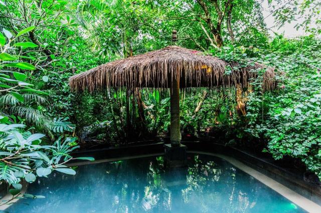 鑽疯姳鍙ら晣鑵惧啿,鑵惧啿鑽疯姳鍙ら晣