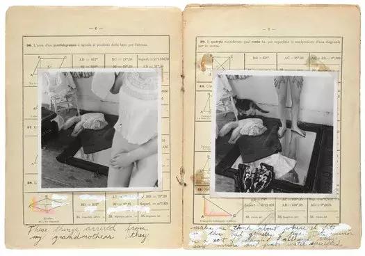 生活让我们变得脆弱,男生和女生谁更脆弱