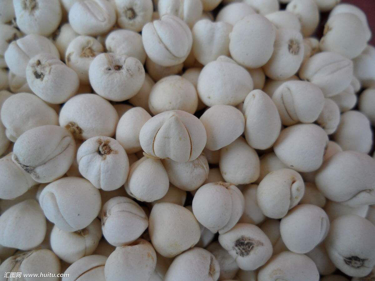 中药材川贝母鉴别,中药材川贝母溯源报告