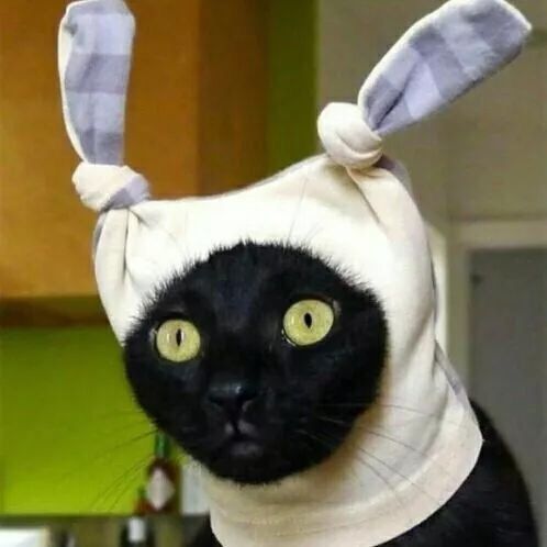 听说现在的小年轻都喜欢这种sao酷头像,是真的么?