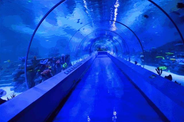 中国江西瑞金,这就是江西歌曲原唱