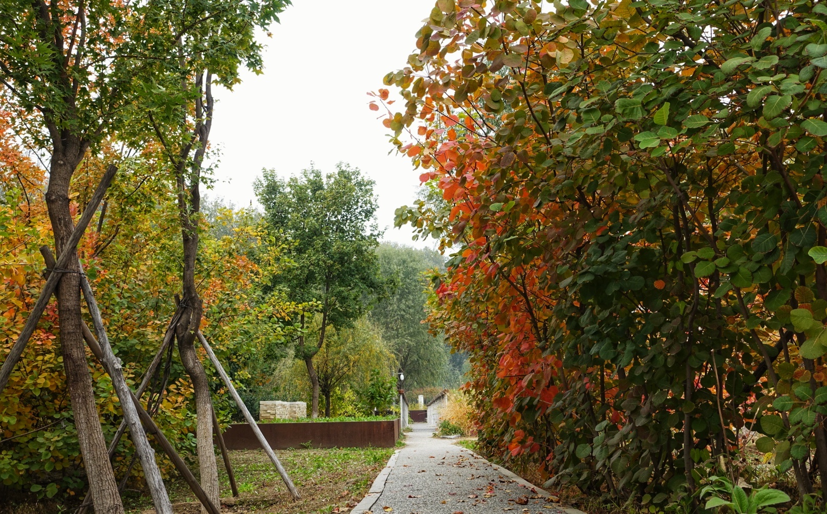 北京昌平金秋风景,昌平金秋周边一日游最佳攻略