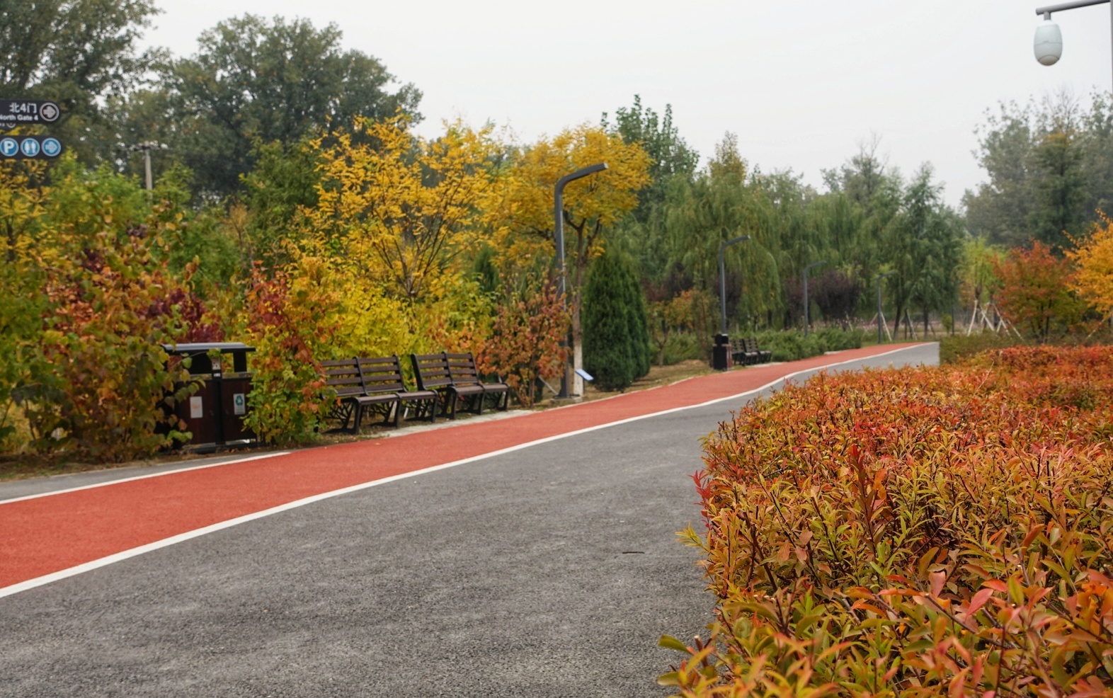 北京昌平金秋风景,昌平金秋周边一日游最佳攻略