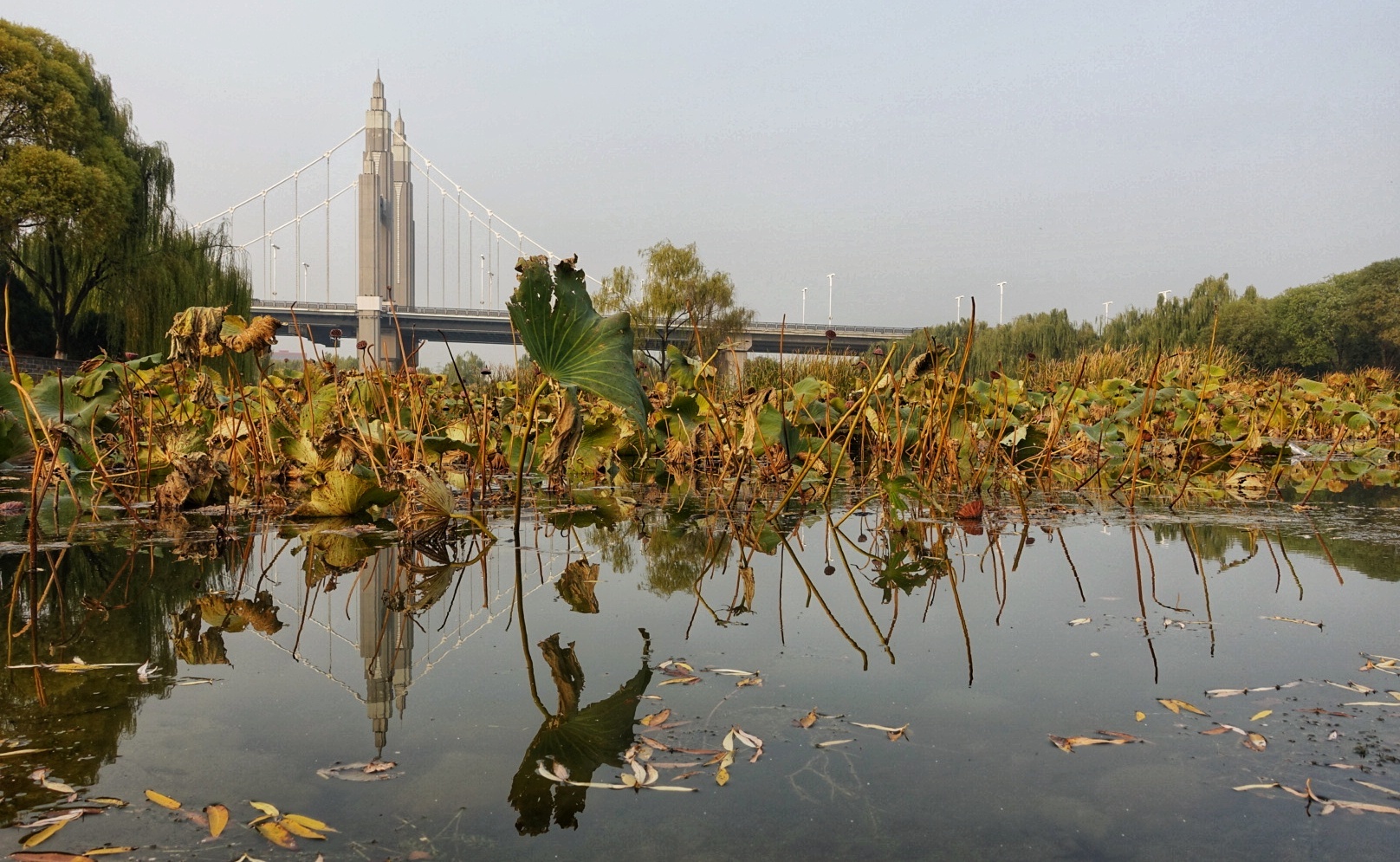 北京昌平金秋风景,昌平金秋周边一日游最佳攻略