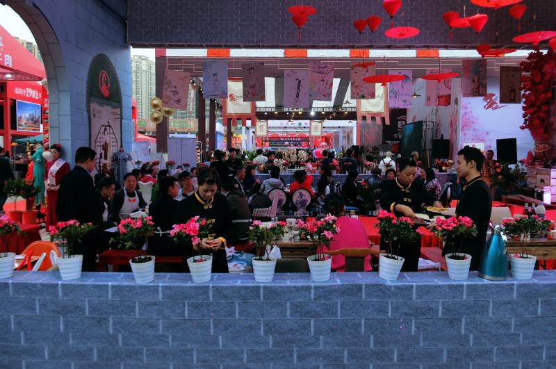 旗袍火锅山茶花,重庆山茶花开旗袍