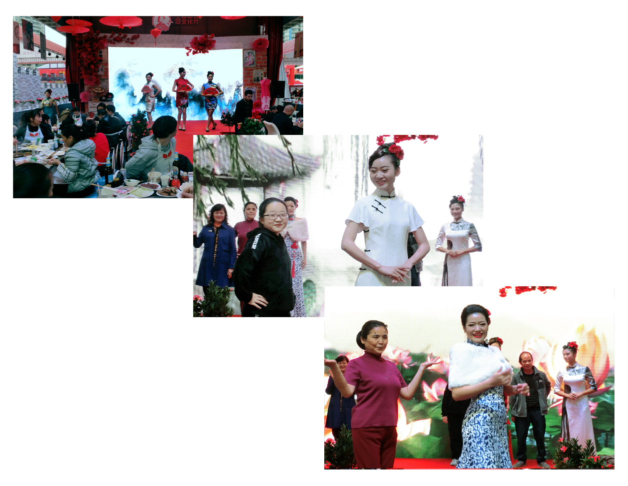 旗袍火锅山茶花,重庆山茶花开旗袍