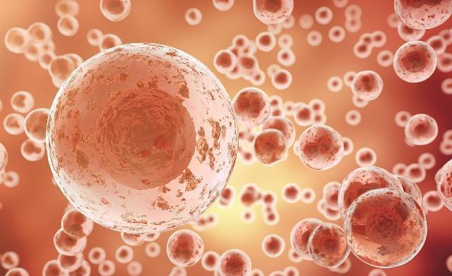 女人的安全期到底什么时候最安全,女人安全期前七后八哪个更安全