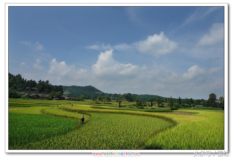 我的家乡——思南县的温和气候