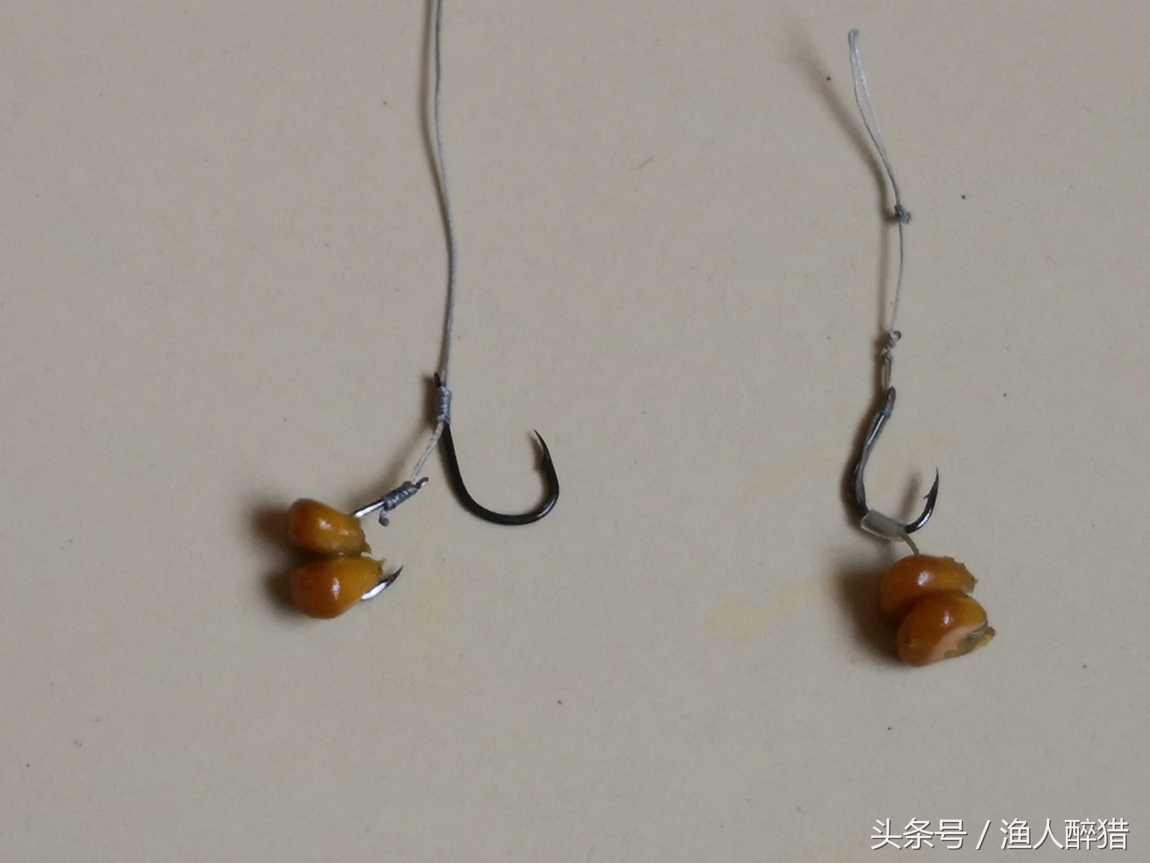 玉米粒钓鱼技巧大全,玉米粒钓鱼教学