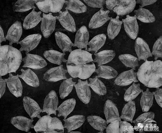 臭大姐为什么那么臭,臭大姐