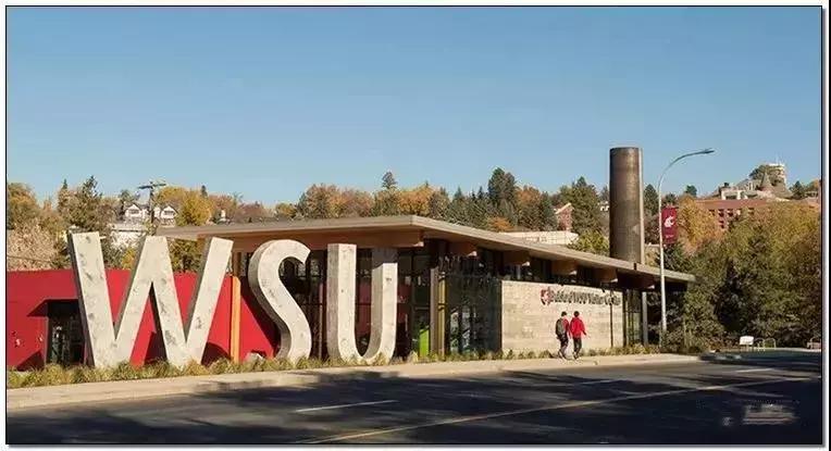 微软和比尔盖茨的发展史,比尔盖茨创建微软的励志故事