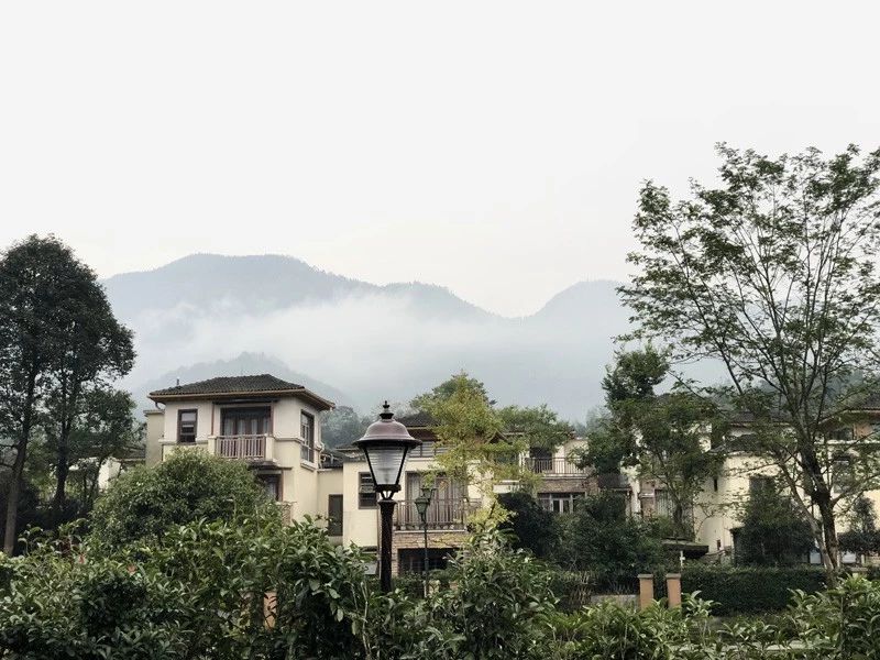 成都西岭雪山旅游攻略一日游一月,成都花水湾夏日旅游攻略