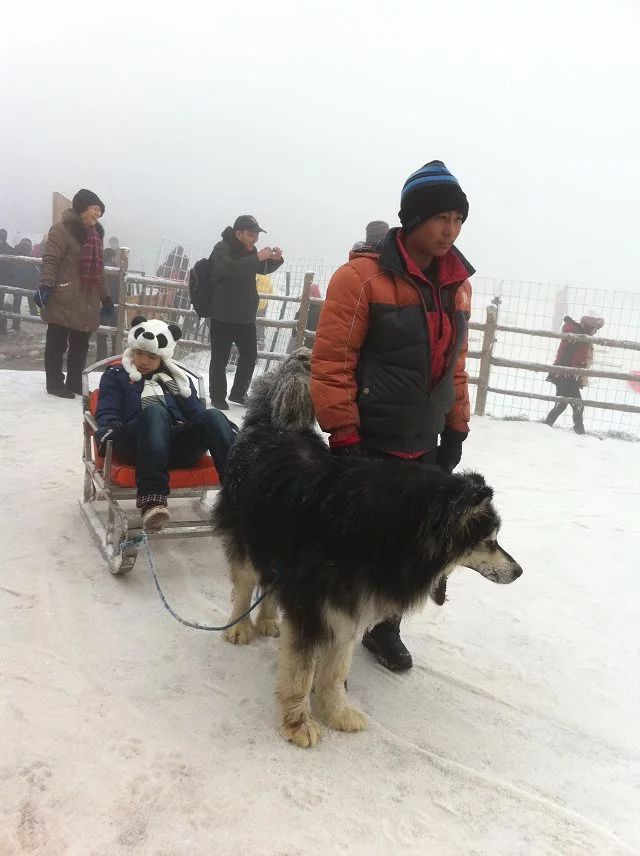 成都西岭雪山旅游攻略一日游一月,成都花水湾夏日旅游攻略
