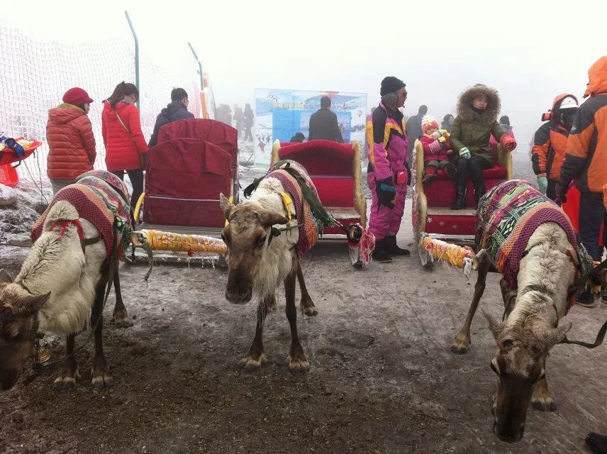 成都西岭雪山旅游攻略一日游一月,成都花水湾夏日旅游攻略
