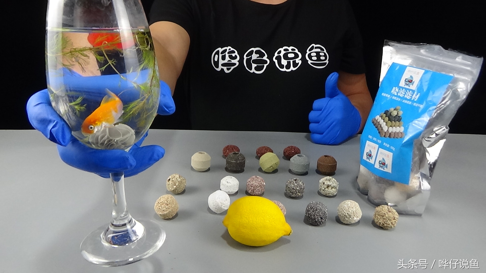 观赏鱼鱼缸底滤滤材,热带观赏鱼鱼缸滤材