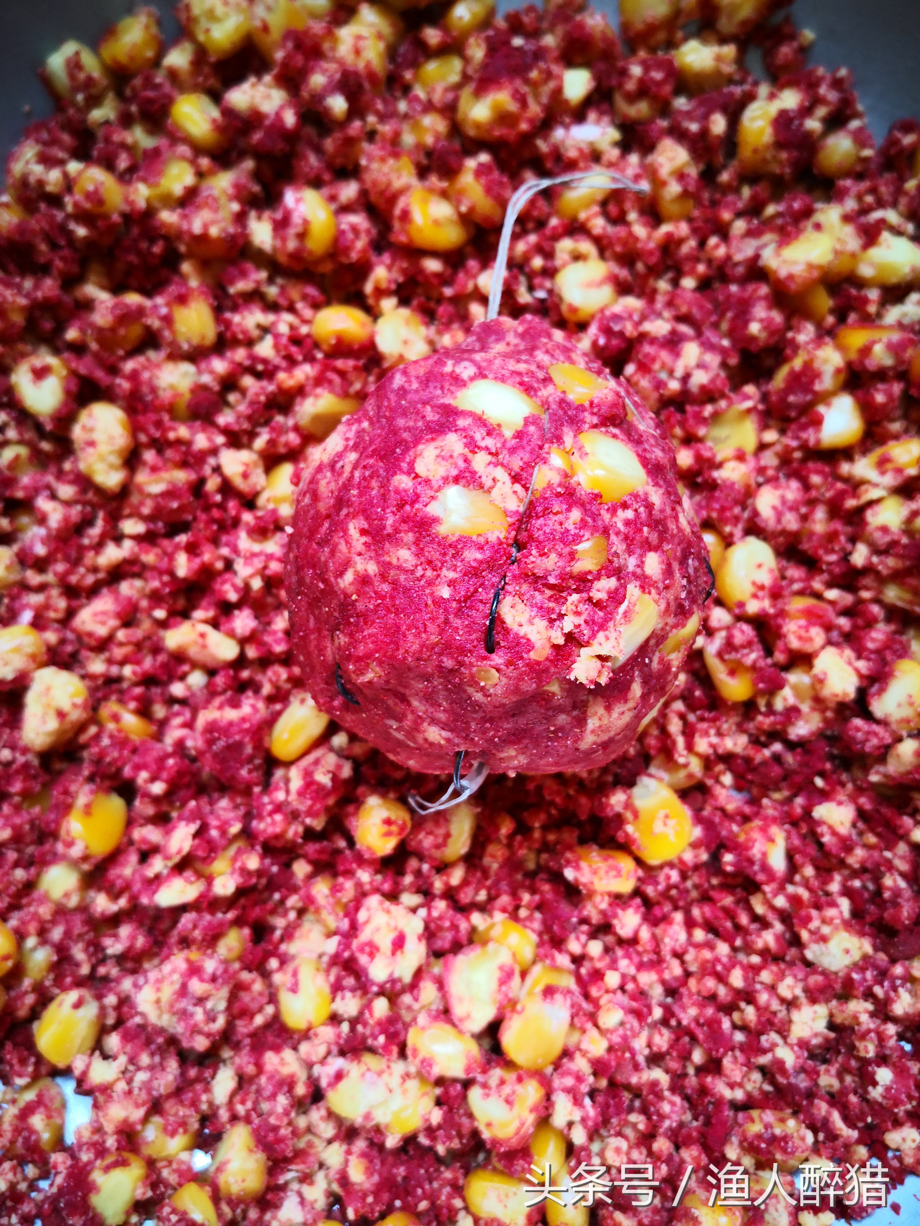 海竿玉米粒打窝配方,玉米粒海竿钓鱼方法教学