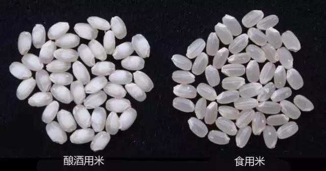 清酒：每个酒鬼都不应错过的日本国酒