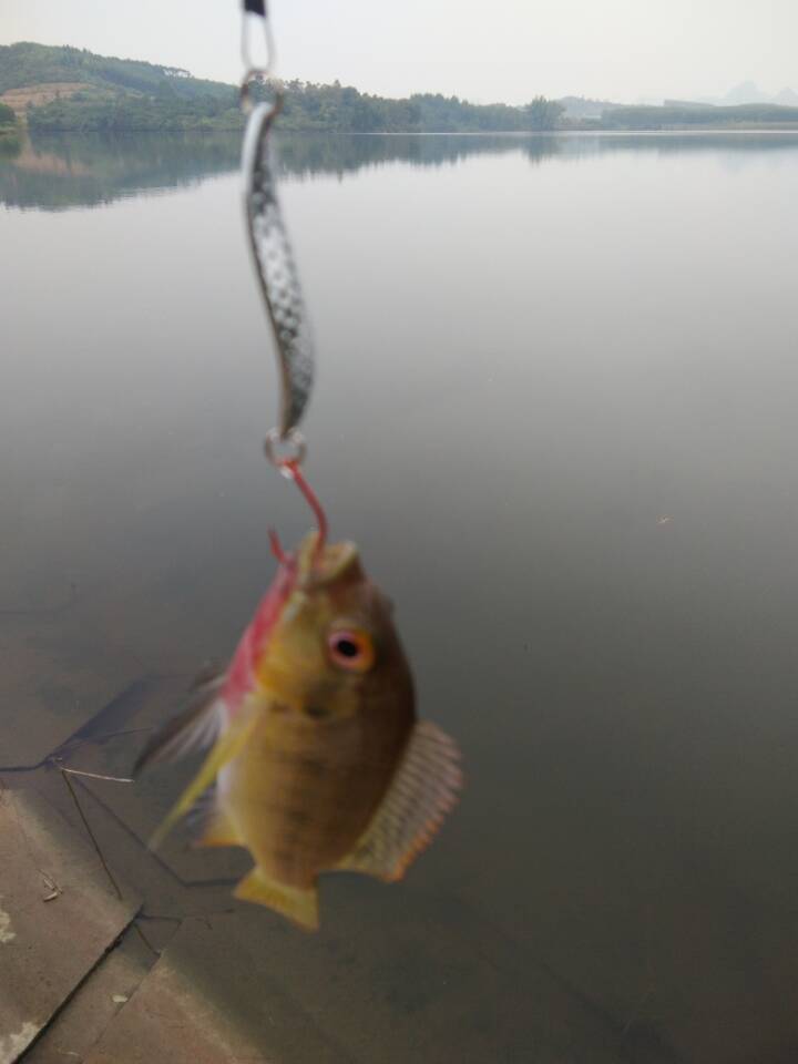 路亚真正的钓法,路亚钓起来更有挑战性