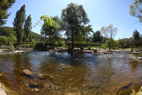 河南省新乡市卫辉市最美乡村,河南省十大最美乡村竹园村
