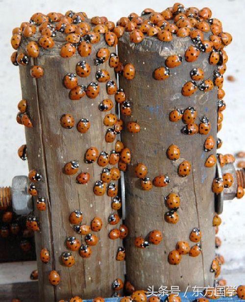 一个能控制自己的欲望的人,怎么控制自己的购买欲望