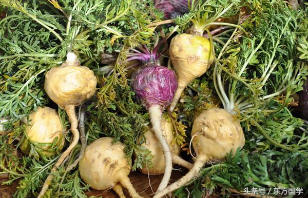 一个能控制自己的欲望的人,怎么控制自己的购买欲望