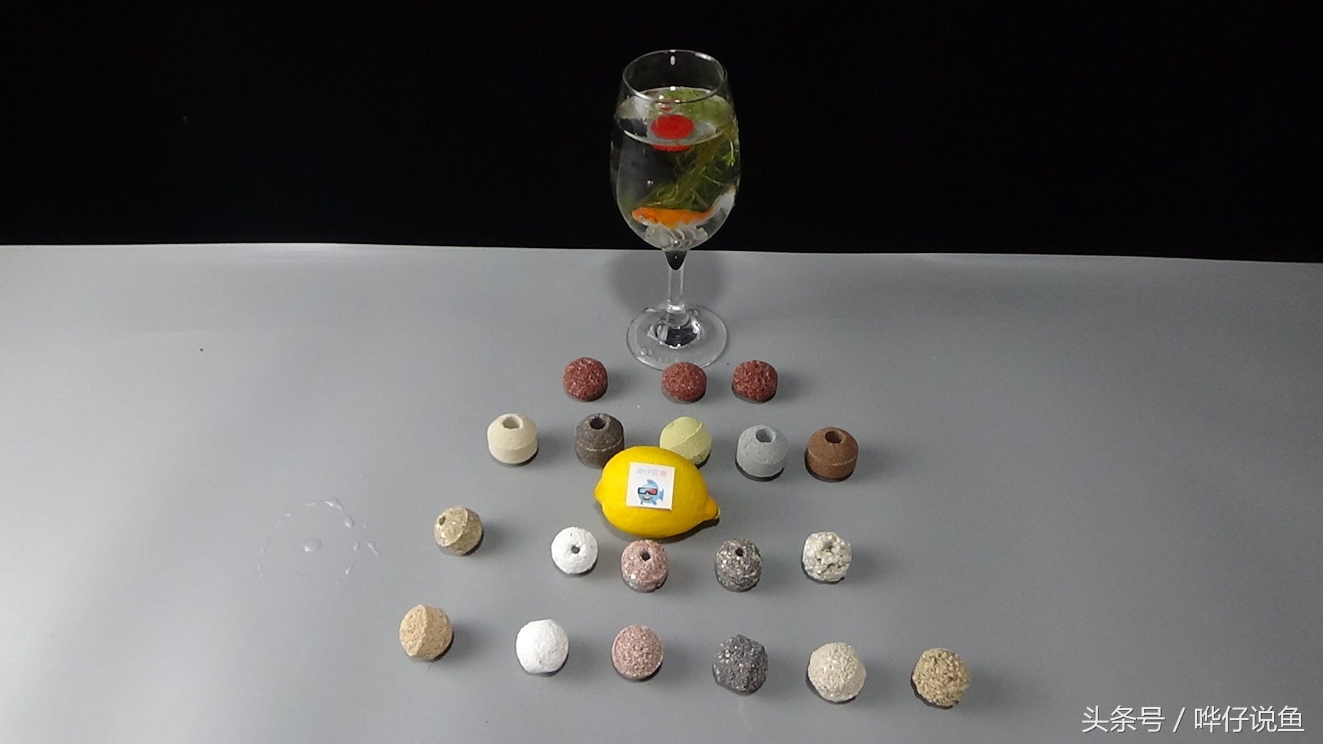 观赏鱼鱼缸底滤滤材,热带观赏鱼鱼缸滤材