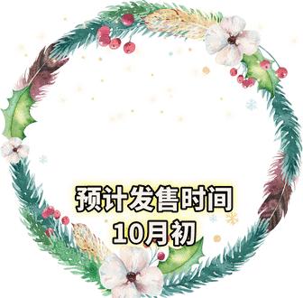 ysl圣诞限量彩妆怎么买的,ysl圣诞化妆品