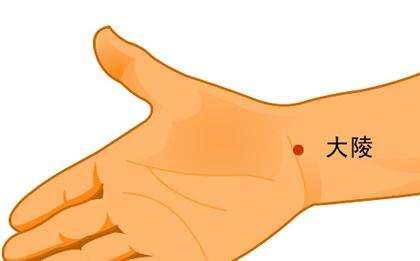 头晕心悸的中药处方,心慌心悸按揉哪个穴位缓解