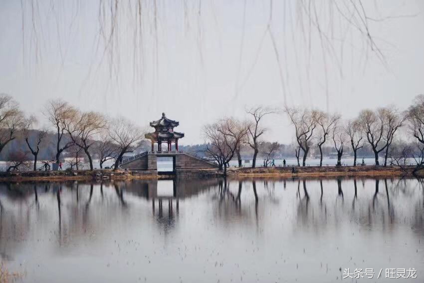 尼康d850和佳能5d4哪个价钱高,尼康还是佳能的镜头贵