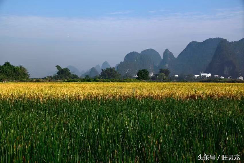 尼康d850和佳能5d4哪个价钱高,尼康还是佳能的镜头贵