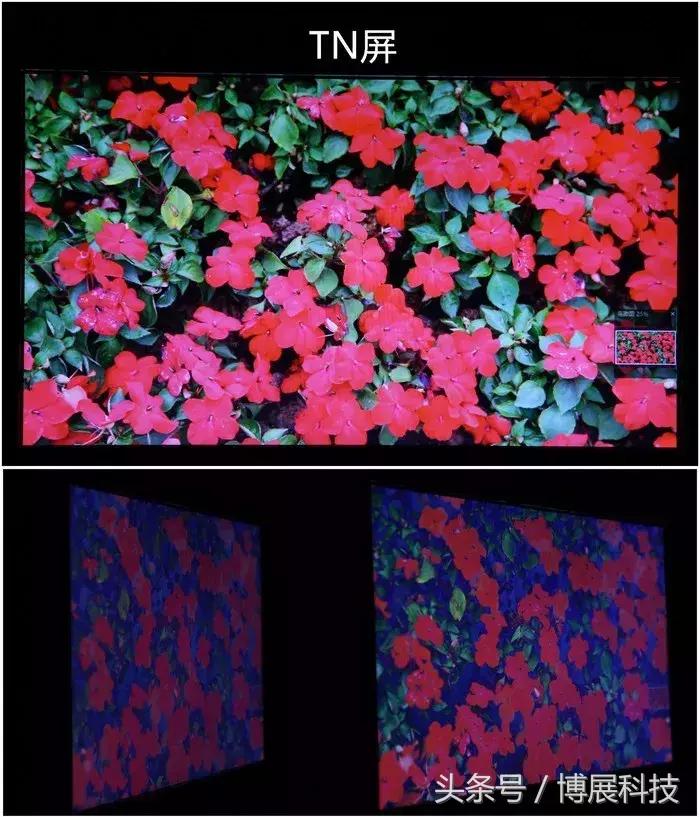 买显示器选什么面板,显示器推荐什么面板