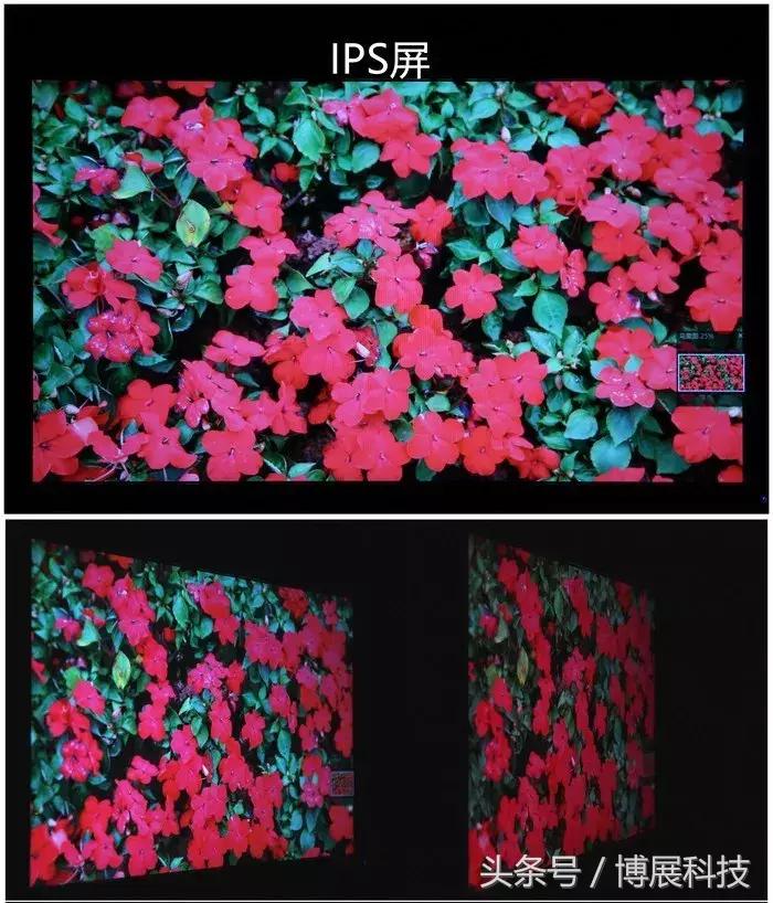 买显示器选什么面板,显示器推荐什么面板