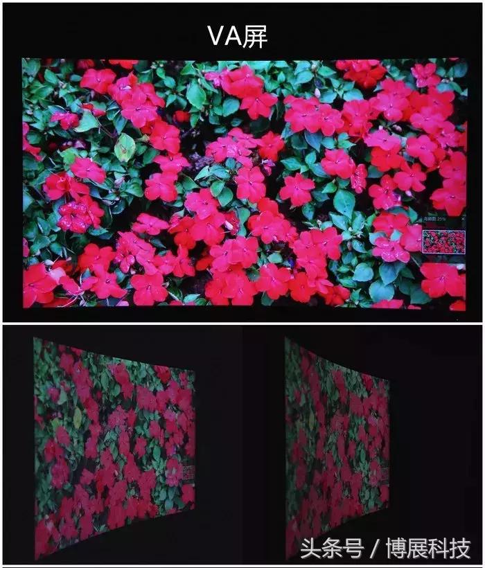 买显示器选什么面板,显示器推荐什么面板