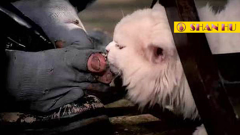 有脚臭是一种什么体验,有一个脚臭舍友是什么体验