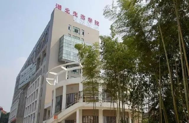 东邪西毒南帝北丐中神通电影,东邪西毒南帝北丐中神通演员