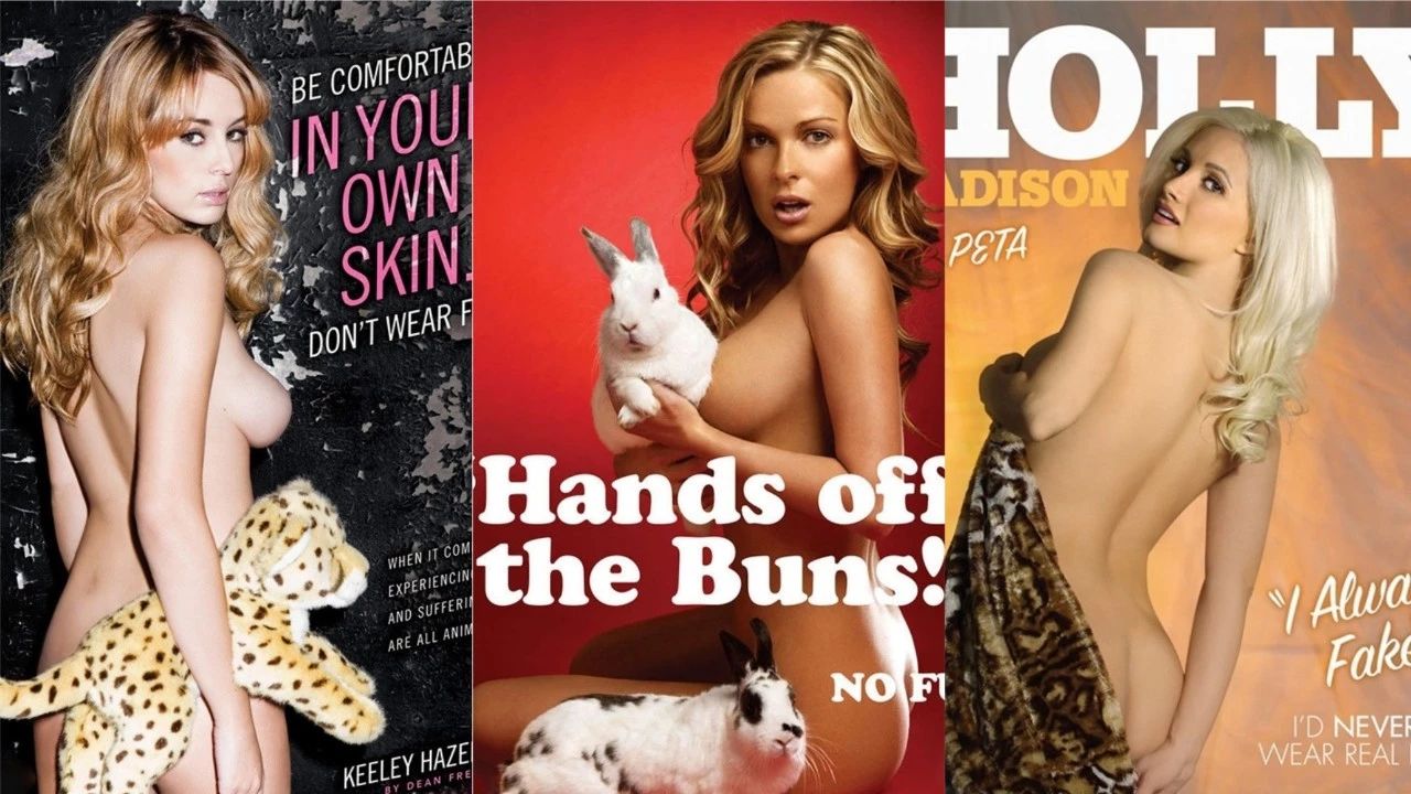 gucci所有女明星,女明星gucci