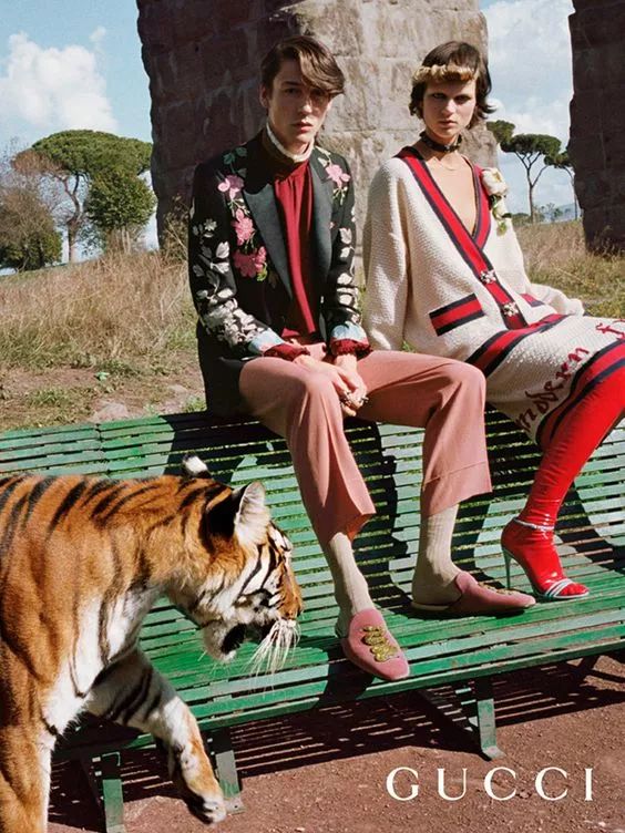 gucci所有女明星,女明星gucci