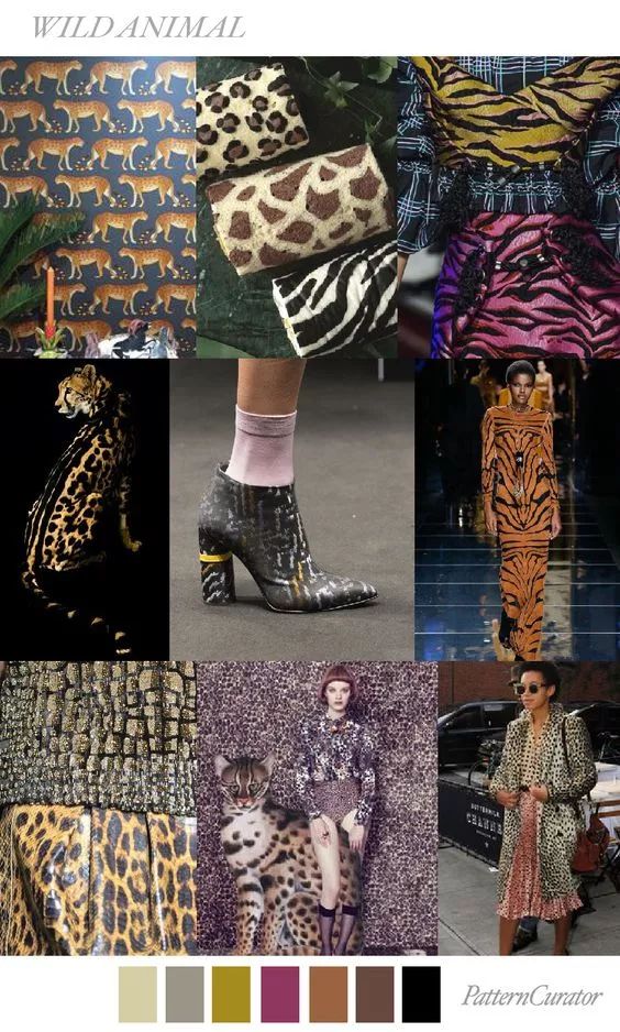 gucci所有女明星,女明星gucci